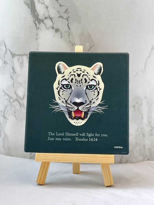 台灣雲豹｜綠底