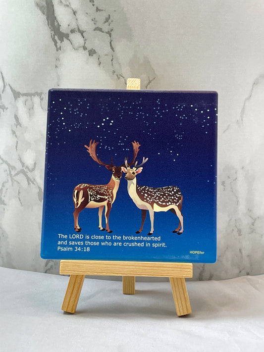 台灣梅花鹿-星空｜ 耶穌靠近傷心的人