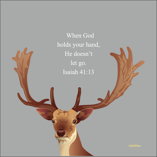 台灣梅花鹿｜盼望 ｜灰底